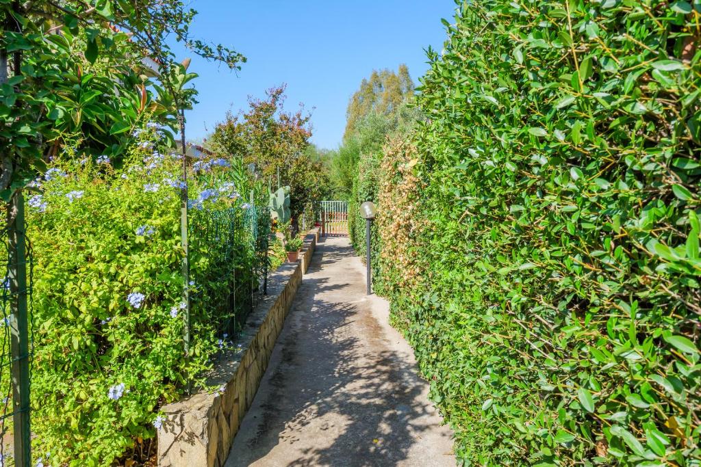 Villetta Bougainvillea – foto 7