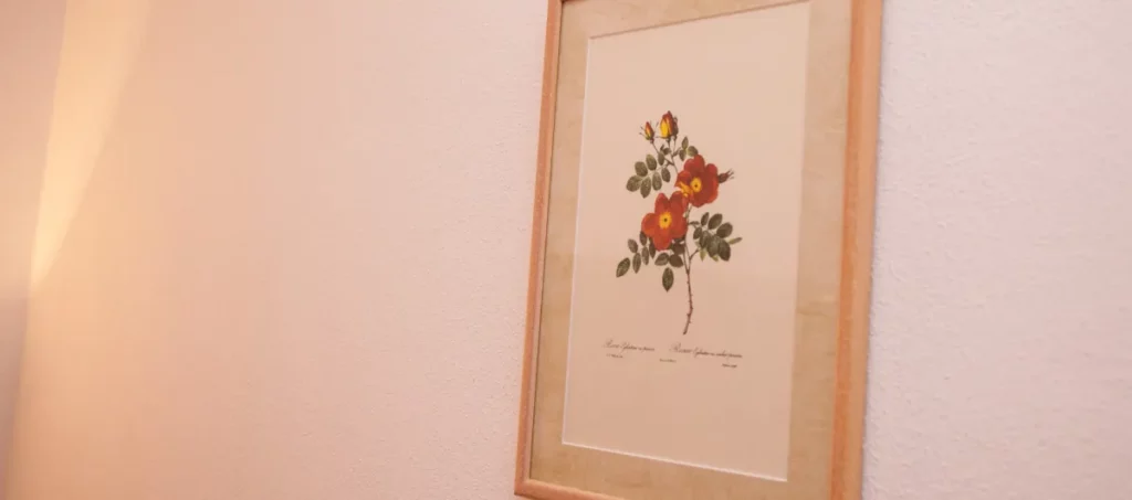 Affittacamere Casa delle Rose – foto 6