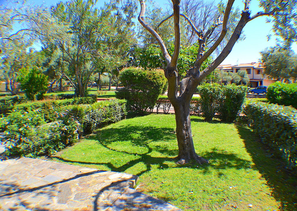 Villaggio Degli Ulivi – foto 3