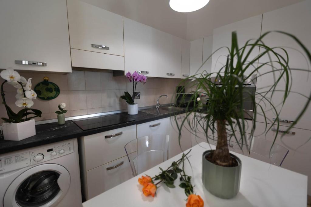 Florence Oasis | Puccini & Visarno |Appartamento – foto 4