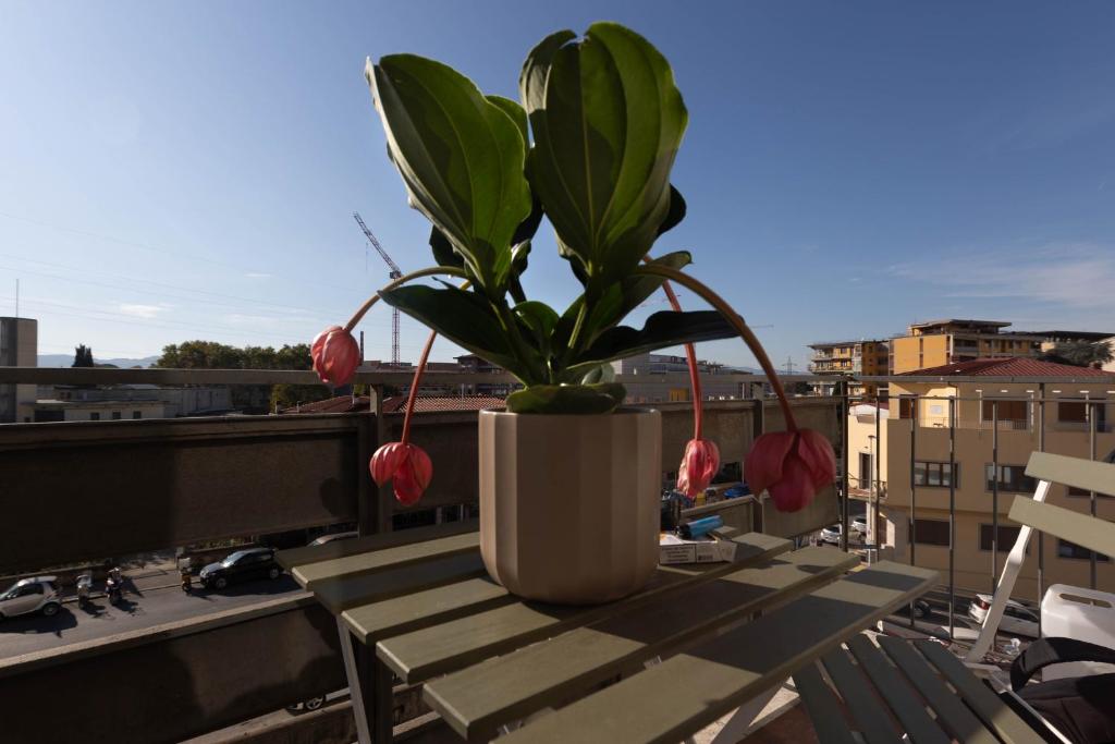 Florence Oasis | Puccini & Visarno |Appartamento – foto 8