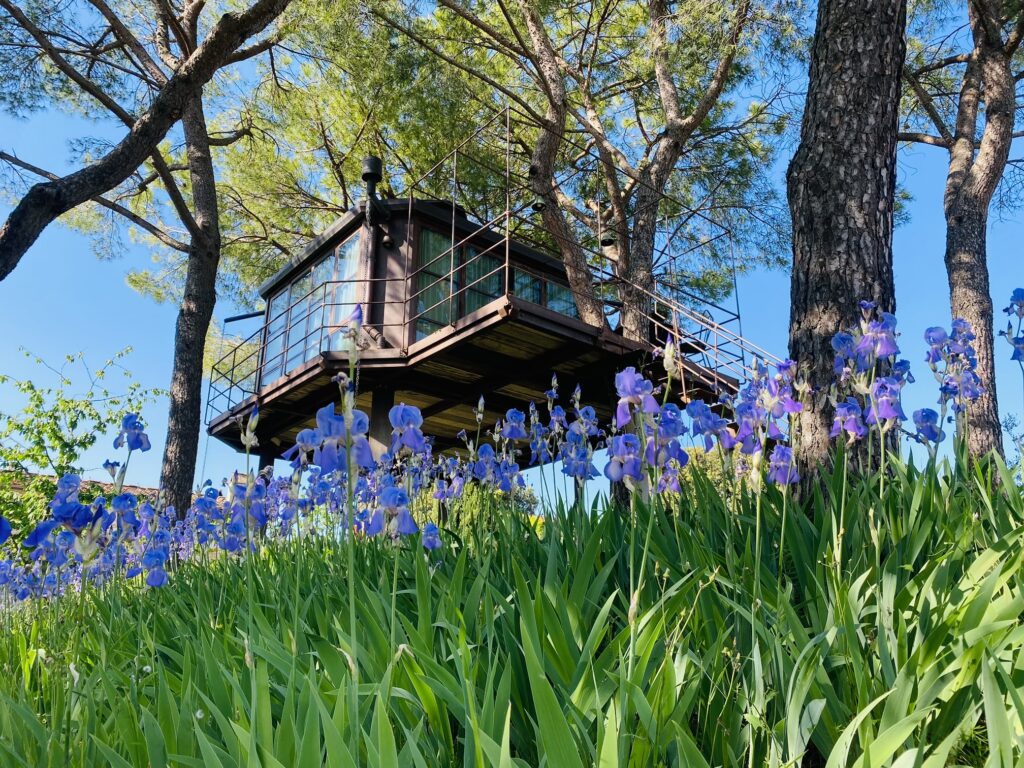 casa Barthel – foto 8