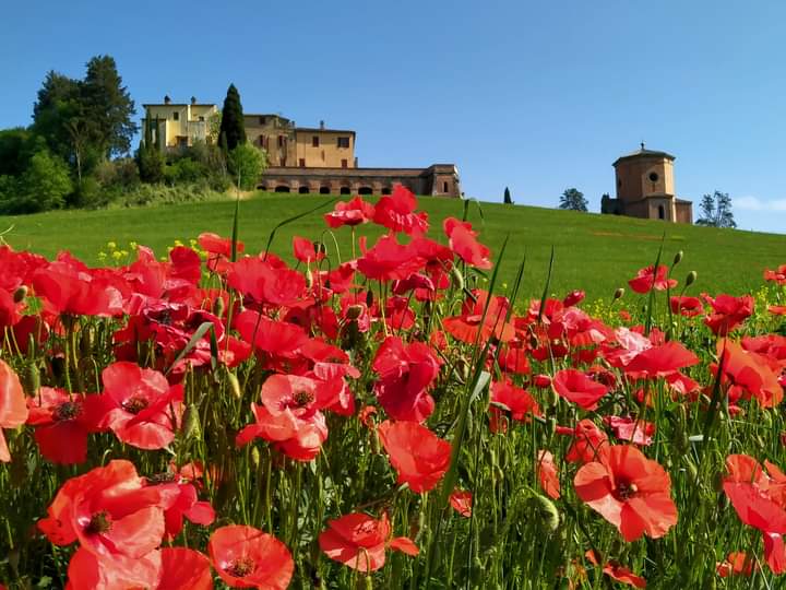 Villa Righino – foto 8
